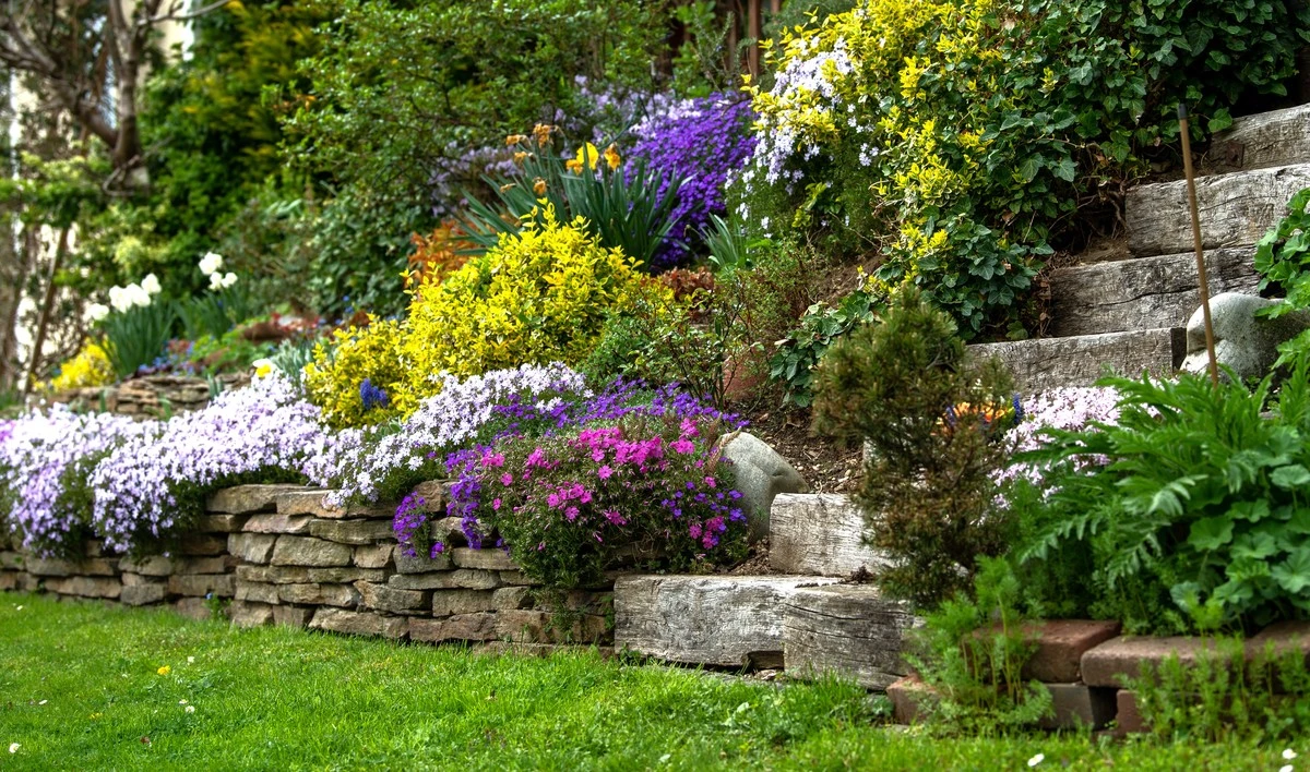 Proč zkušení zahradníci sází na svahy tyto rostliny místo trávy