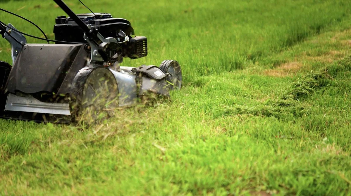 Proč zkušení zahrádkáři vytahují sekačku až při stabilních 7 stupních