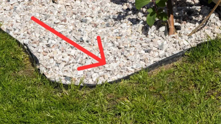 Proč zkušení zahradníci zapouštějí kovové pásy hluboko do trávníku