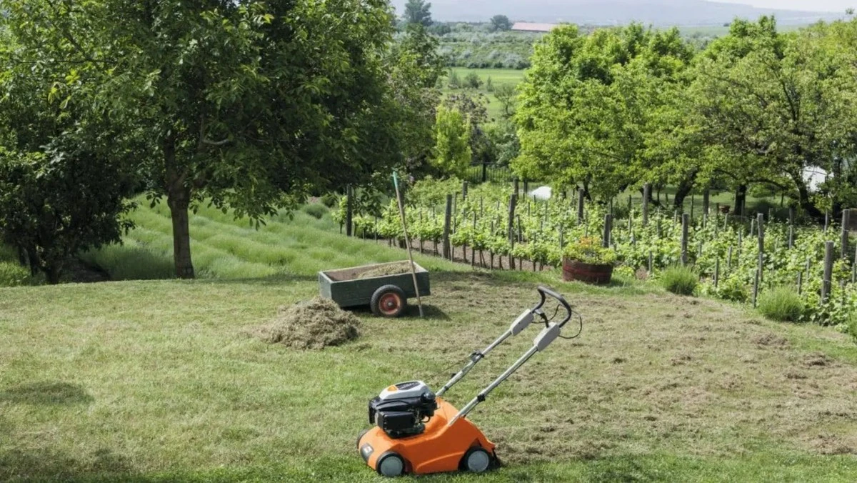 Proč zkušení zahrádkáři vytahují vertikutátor až po druhém sečení - image 1