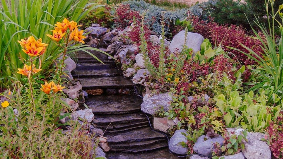 Proč zkušení zahradníci sází na svahy suchomilné trvalky místo hortenzií - image 1