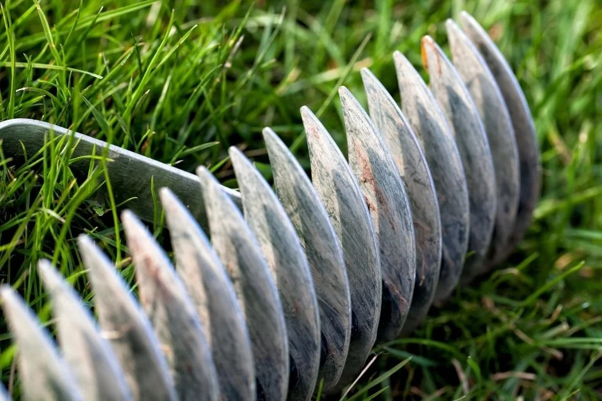 Proč zkušení zahradníci po druhém sečení vytahují vertikutátor - image 1