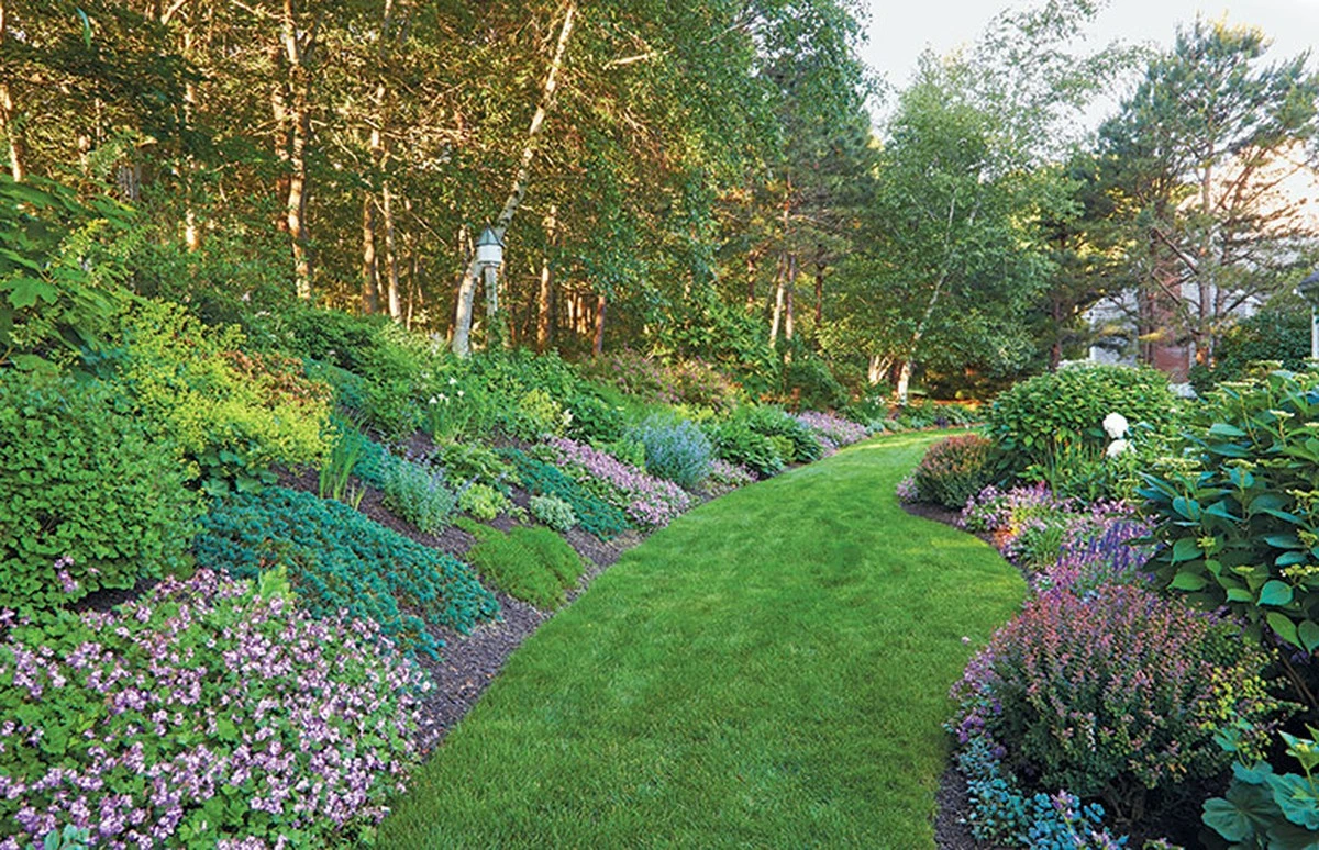 Proč zkušení zahradníci sázejí na svah tyto kobercové trvalky - image 1