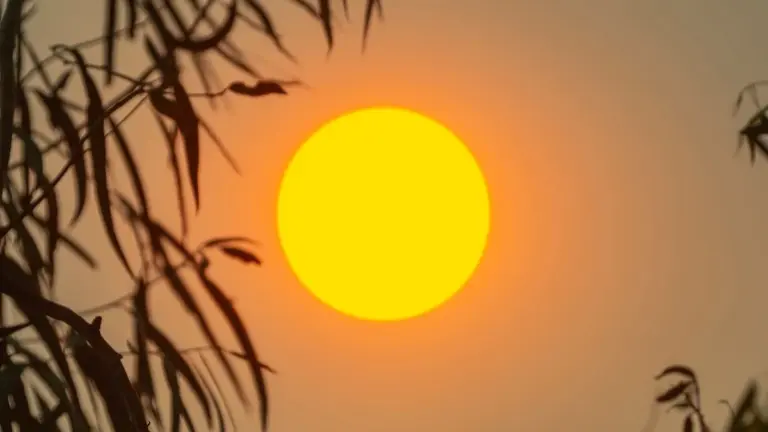 Proč kombinace horka a sucha brzy zasáhne až 2,6 miliardy lidí