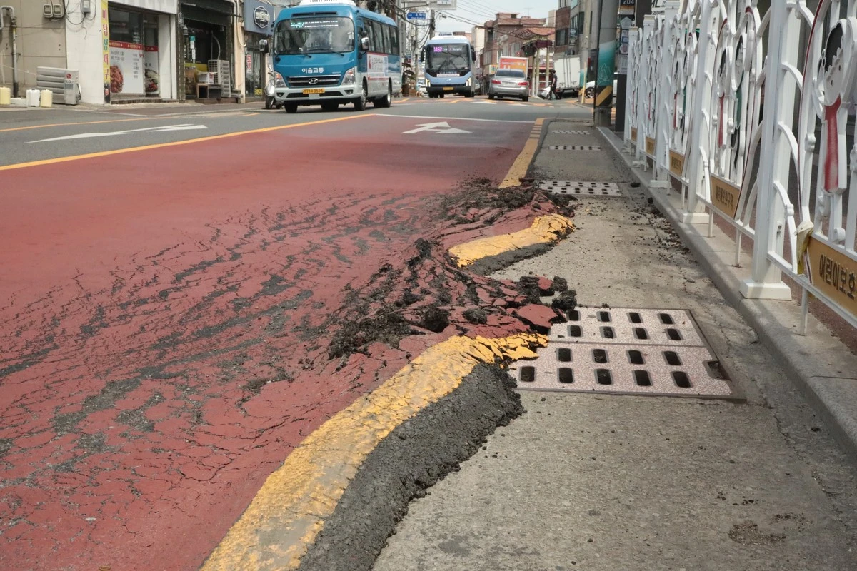 Proč letos zaplatíte za kávu víc: El Niño mění letní počasí i české peněženky - image 1