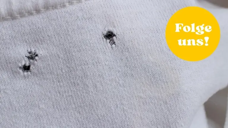 Proč mají vaše trička dírky v úrovni pasu: Moli za to obvykle nemohou