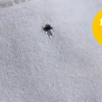 Proč mají vaše trička dírky v úrovni břicha: Skrytý důvod, který nemá nic společného s moly