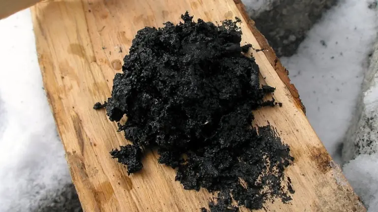 Proč neandrtálci nosili v kapse březovou smůlu