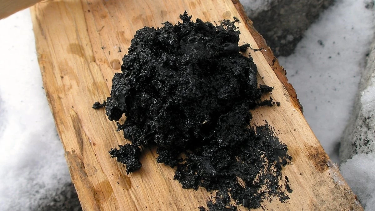 Proč neandrtálci nosili v kapse březovou smůlu