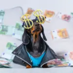 Proč se k vám banka začne chovat jinak, když zůstatek překročí 500 000 Kč