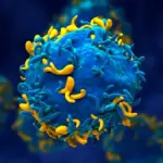 Proč se němečtí lékaři rozhodli pro „reset“ imunitního systému u nevyléčitelně nemocné pacientky