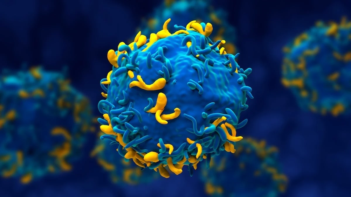 Proč se němečtí lékaři rozhodli pro „reset“ imunitního systému u nevyléčitelně nemocné pacientky