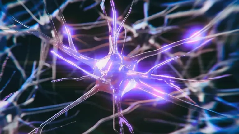 Proč se neurony s genem APOE4 přehřívají desítky let před ztrátou paměti