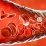 Proč se vám nedaří snížit krevní tlak: Vědci našli skrytý spínač v mozku