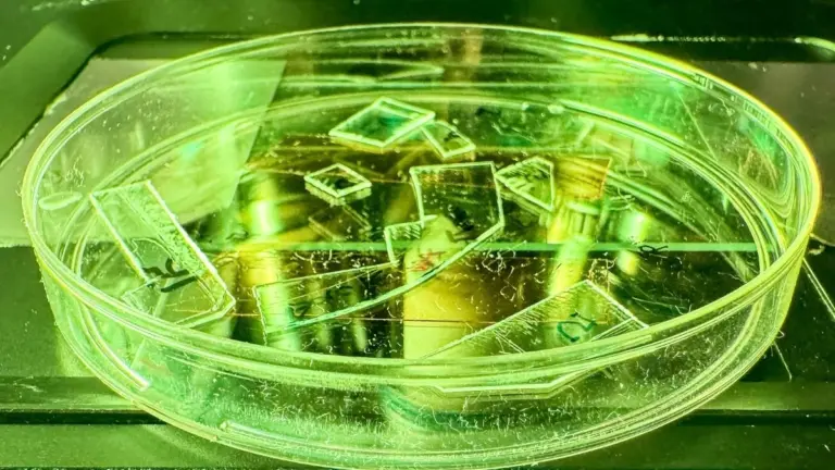 Proč se v budoucnu nebudeme muset bát dotýkat madel v tramvaji