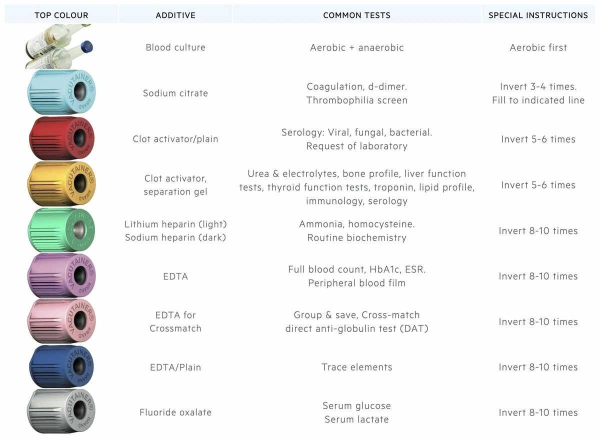 Proč se v krvi objevuje tichý signál Alzheimera roky před první zapomenutou věcí - image 1
