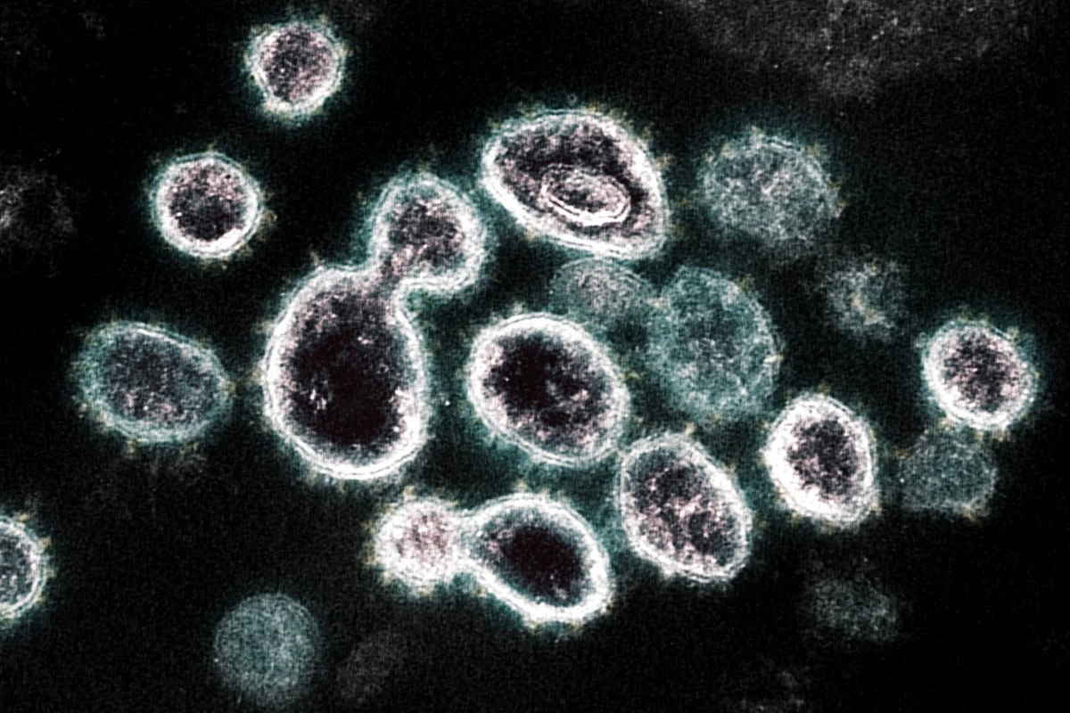 Proč se v lidské DNA skrývají viry, které nikdy neodejdou - image 1