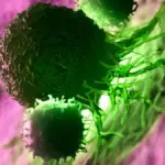 Proč se v oceánech skrývaly chobotnice velké jako velryby