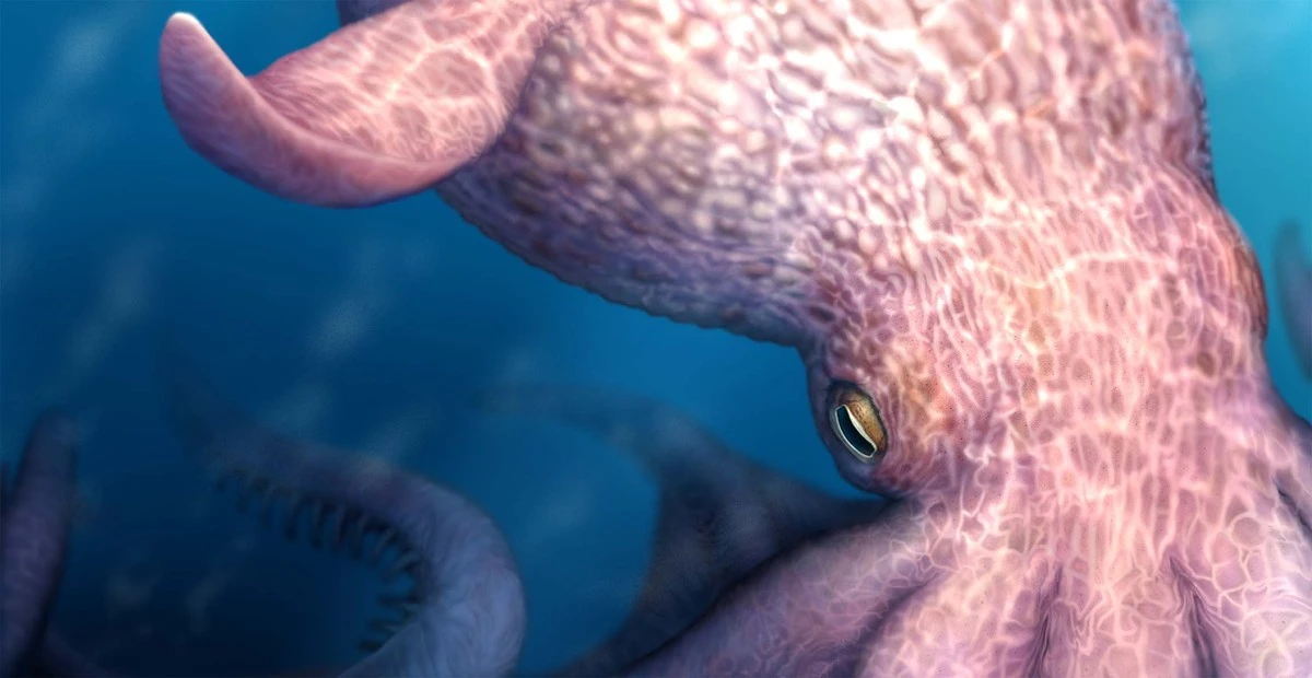 Proč se v oceánech skrývaly chobotnice velké jako velryby - image 1
