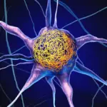 Proč se vyplatí hlídat si hladinu „slunečního“ vitaminu už po třicítce