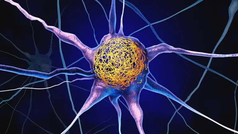 Proč se vyplatí hlídat si hladinu „slunečního“ vitaminu už po třicítce