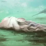 Proč se z nejslavnější chobotnice světa vyklubalo úplně jiné zvíře