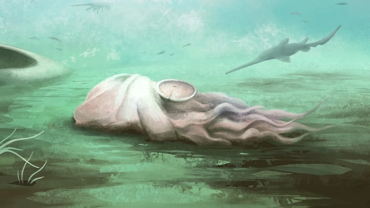 Proč se z nejslavnější chobotnice světa vyklubalo úplně jiné zvíře