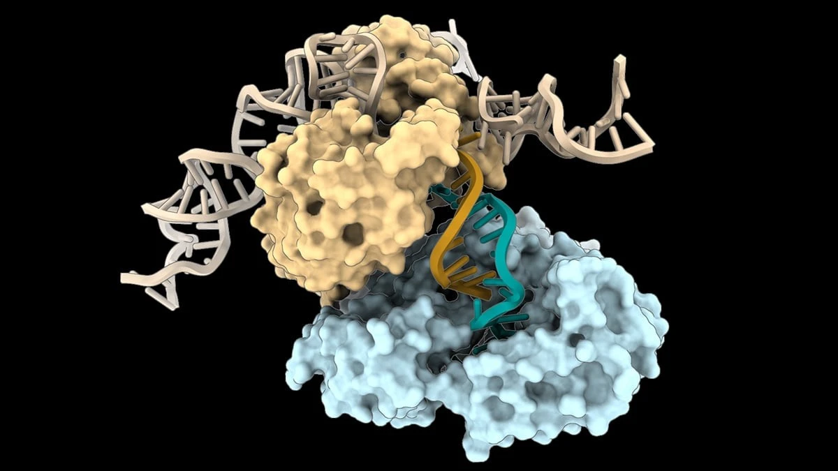 Proč vědci našli v bakteriích enzym, který vyrábí DNA bez jakéhokoli návodu