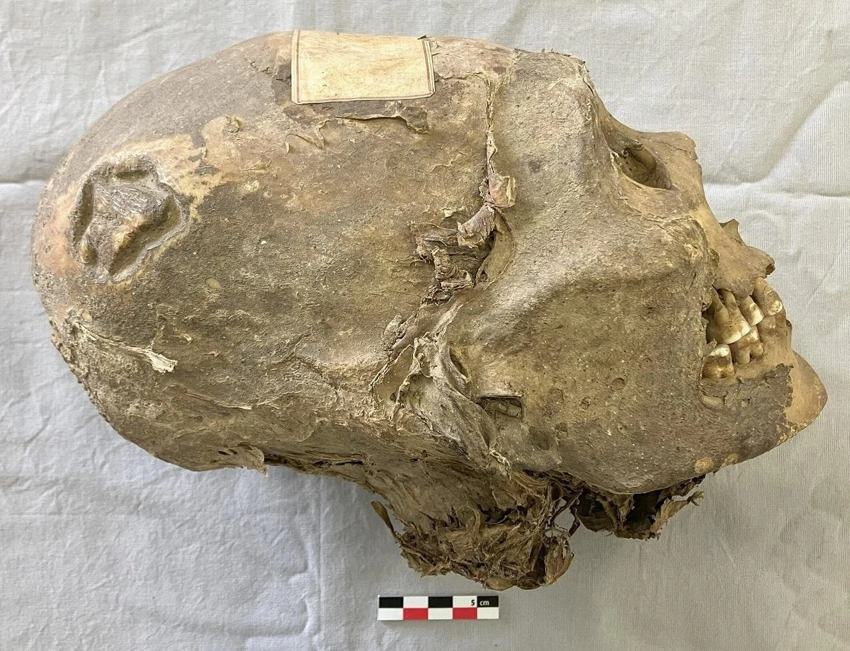 Proč vědci našli v zubu staré bolivijské mumie stopu spály - image 1