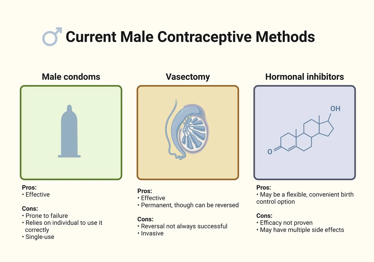 Proč vědci testují novou injekci pro muže, která dočasně vypíná plodnost - image 1