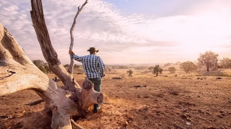 Proč vědci varují před prachem z vyschlé půdy