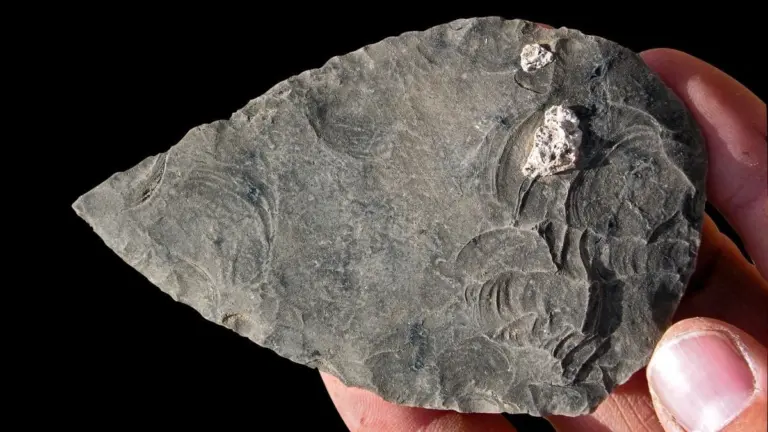 Proč zkušení archeologové v Etiopii hledají kosti v bahně a ne v jeskyních