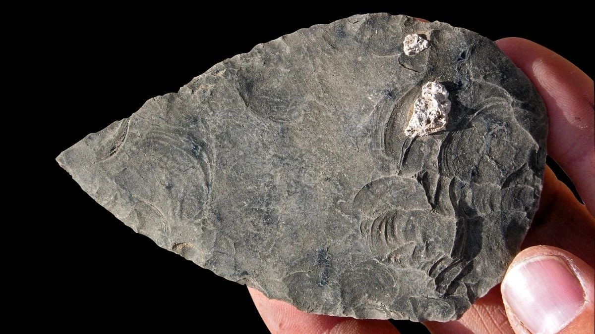 Proč zkušení archeologové v Etiopii hledají kosti v bahně a ne v jeskyních