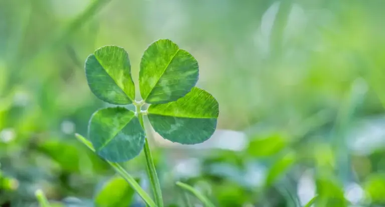 Proč zkušení astrologové sledují 8. duben: Tato vzácná konstelace se nebude opakovat dalších 79 let