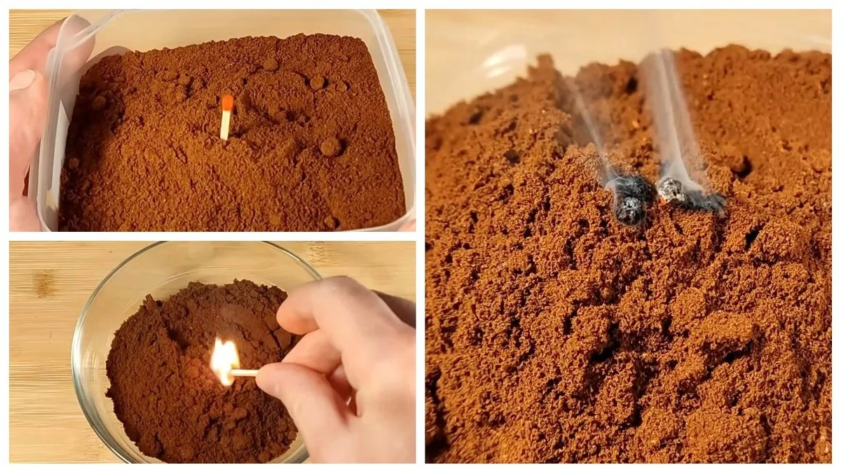 Proč zkušení chataři nikdy nevyhazují kávovou sedlinu do koše