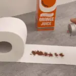 Proč zkušení chataři pálí ruličku papíru se skořicí a zubní pastou