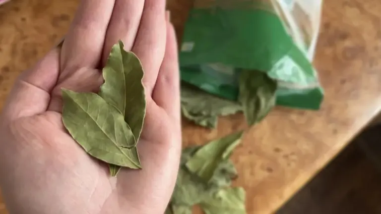 Proč zkušení hospodyně v dubnu pálí na talíři jeden bobkový list