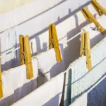 Proč zkušení hospodyně dávají ke světlému prádlu i barevný ručník