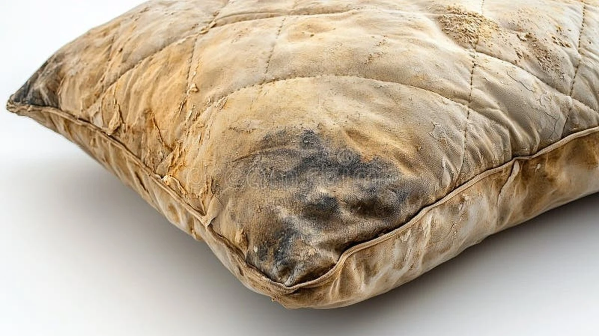 Proč zkušení hostitelé perou polštáře dvakrát ročně (a není to kvůli vůni) - image 1