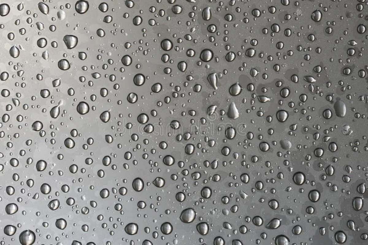 Proč zkušení hostitelé lijí leštidlo do myčky přímo na stěny sprchy - image 1