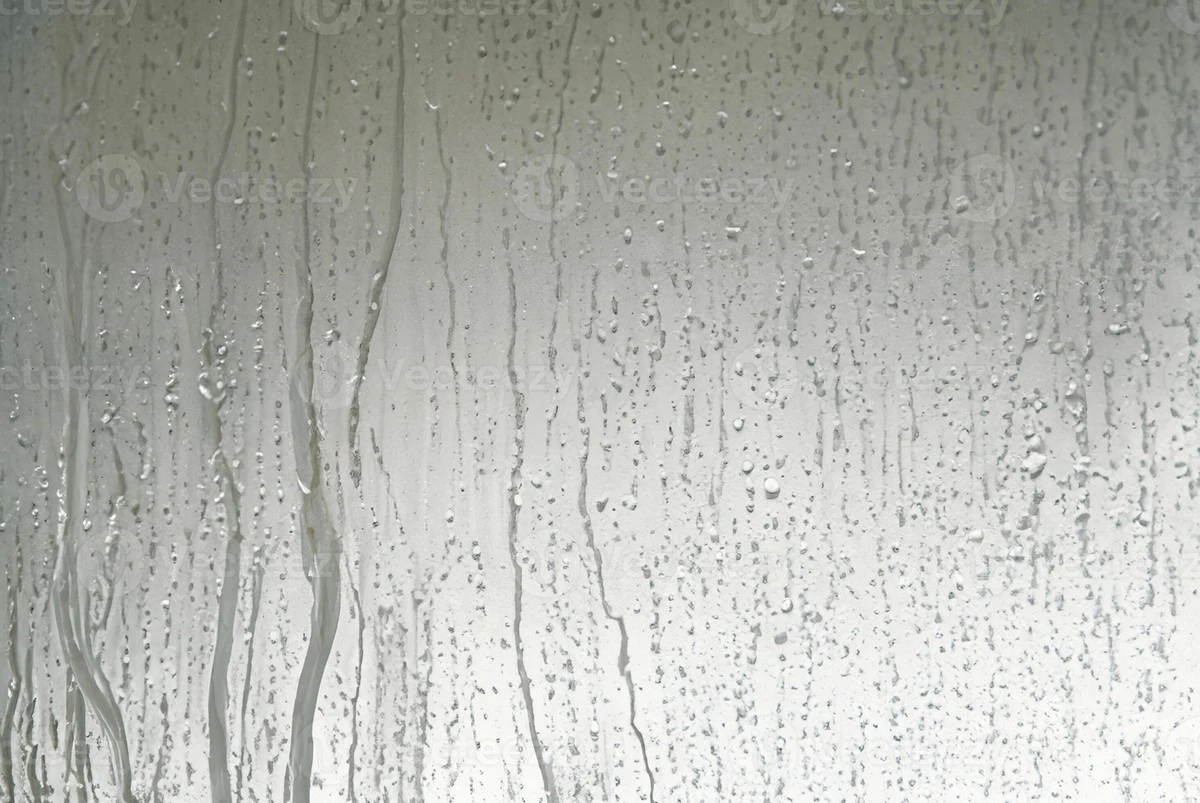 Proč zkušení hostitelé lijí leštidlo do myčky na stěny sprchového koutu - image 1