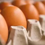 Proč zkušení kuchaři v obchodě vždy kontrolují skořápku vajíčka proti světlu