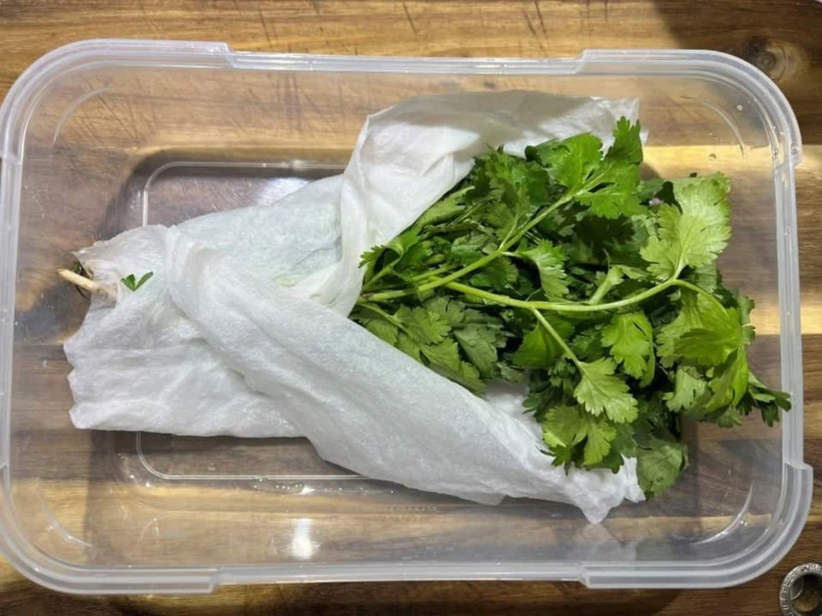 Proč zkušení kuchaři dávají svazek kopru do sklenice s vodou - image 1