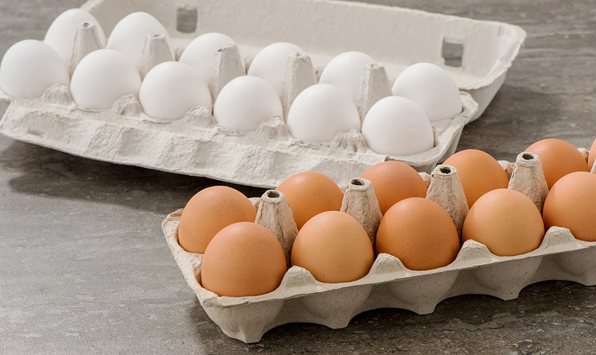 Proč zkušení kuchaři nikdy nemyjí vajíčka hned po nákupu - image 1