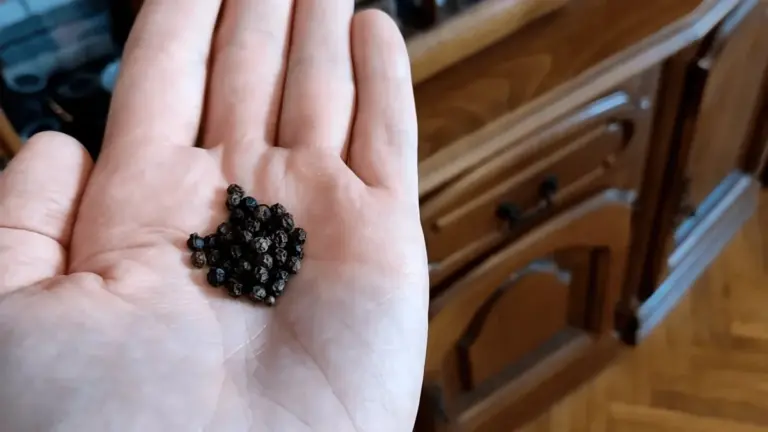 Proč zkušení lidé sypou pod pohovku mletý pepř