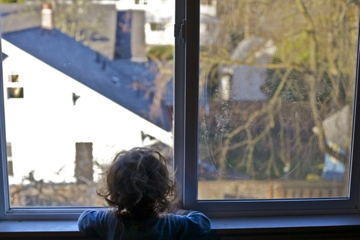 Proč zkušení lidé dávají dva sáčky černého čaje do oken - image 1