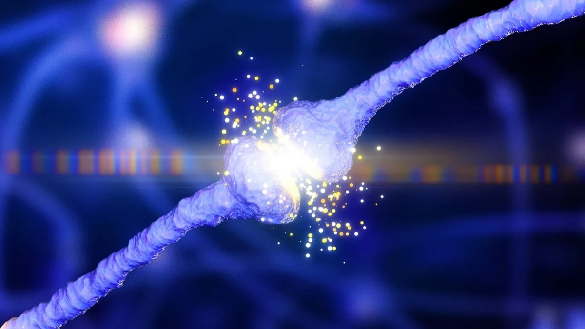 Proč zkušení neurovědci přestávají řešit jen „plaky“ v mozku