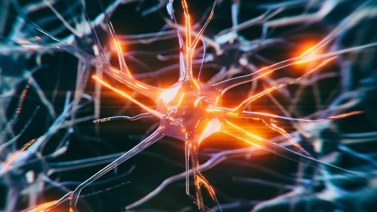 Proč zkušení neurovědci stimulují tento konkrétní nerv pro záchranu paměti