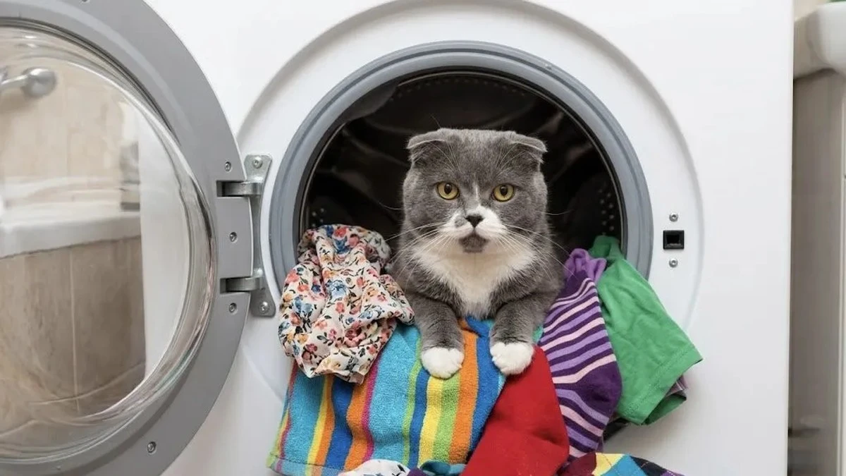 Proč zkušení opraváři sypou do pračky dvě lžíce kyseliny citronové