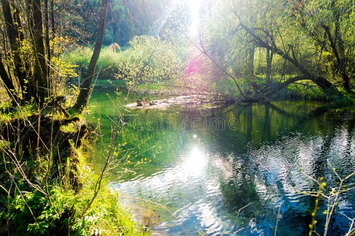 Proč zkušení pozorovatelé čekají na 6. duben jako na osudový zlom - image 1
